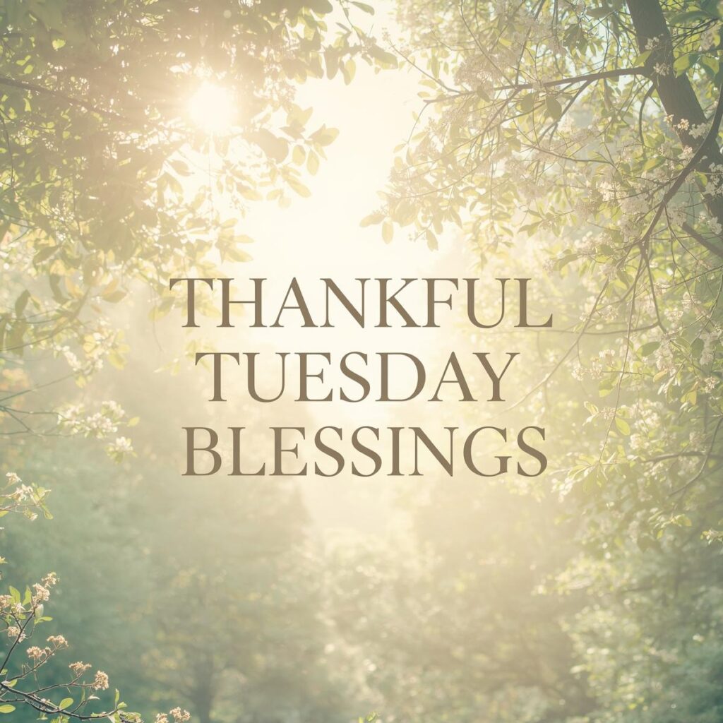 Happy and Uplifting Tuesday Blessings